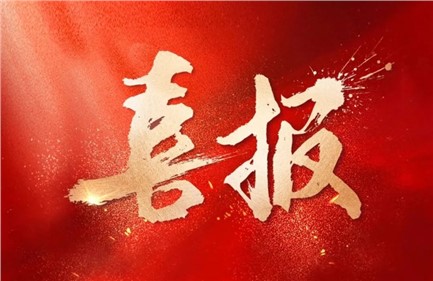 喜報|威勝集團中標國家電網(wǎng)項目，總中標金額超1.15億元，行業(yè)排名第一！